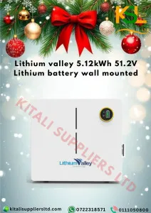 Valley 5.12kWh Lithium Battery – High-Performance Energy Storage for Solar & Backup Systems