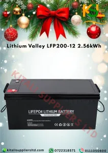 Lithium Valley 200Ah 12.8V LiFePO₄ Battery – 2.56kWh Long-Life Deep Cycle Power