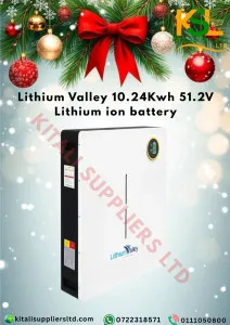 Valley 10.24kWh 51.2V Lithium Battery – High-Capacity Energy Storage for Home & Solar Systems