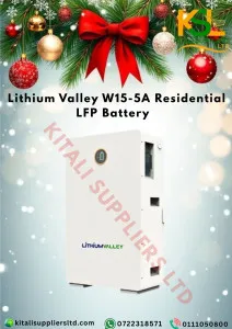 Valley W-15 Residential 15A LFP Lithium Battery – Reliable Home Energy Storage