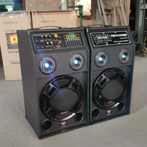 T1002 10-Inch Speaker System – 50W Woofer + 4×15W Tweeters, Professional Audio