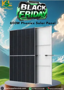 600W Phoenix Solar Panel | High-Efficiency Monocrystalline Panel
