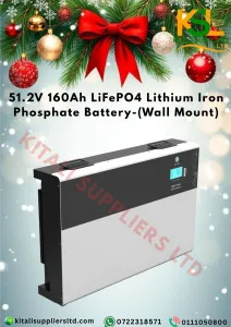 🎄 Buy 51.2V LiFePO4 Wall-Mount Battery Christmas Edition | Home & Solar Energy Storage