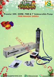 24V 250W Brushless Submersible Water Pump, 70m Head, 1" Outlet with Control Box