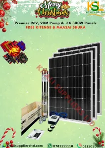 96V 750W Premier Submersible Pump (90m Head) with 2×350W Monocrystalline Solar Panels