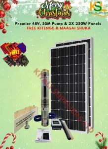 🎄 Premier 48V, 55M Solar Water Pump + 2×250W Panels – Christmas Special Offer 🎄