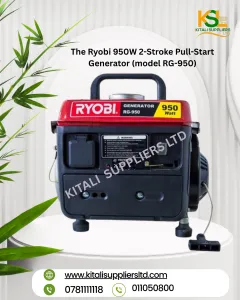 Ryobi 950W 2-Stroke Pull-Start Generator (model RG-950)