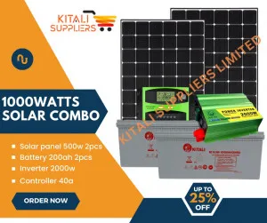 1000W Solar Power System – 2×500W Panels + 2×200Ah Batteries + 2000W Inverter + 40A Controller | kitalisuppliers