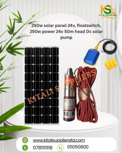 250W Solar Pump System (24V) with Float Switch & 50m Rutan Head DC Solar Pump.