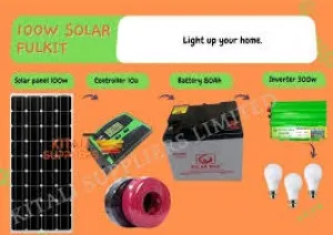 100W Solar Power System Kit with 80Ah Battery & 300W Inverter