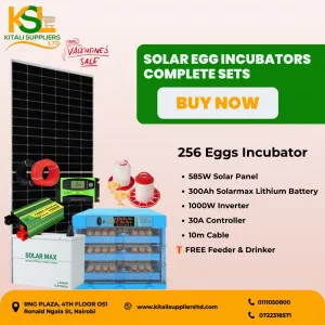256 Eggs Solar Incubator Kit with 585W Solar Panel, 300Ah Battery, 1000W Inverter & Free Feeder and Drinker