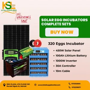 320 Eggs Incubator with Lithium Battery | Commercial Solar Hatching System