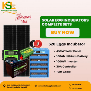 Solar Egg Incubator Complete Set – 320 Eggs Capacity | 450W Solar Panel, 100Ah Lithium Battery, 1000W Power Inverter