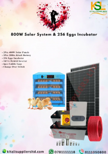 Valentine’s Sale 256‑Egg Solar Incubator Full Kit – Off-Grid Hatchery Solution | Automatic Egg Turner & Digital Control