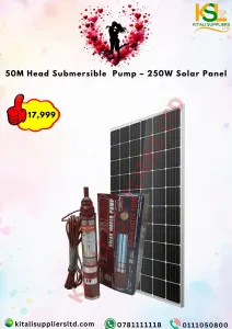 🌞 50m Head Submersible Pump + 250W Solar Panel | High-Efficiency Water Pump Kit 💧