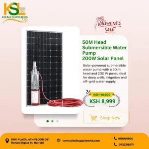 50M Head Submersible Water Pump with 200W Solar Panel – Solar Borehole Pump System