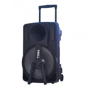 Trill D250 15'' Portable Bluetooth Party Speaker – Deep Bass, LED Lights & Rechargeable Power