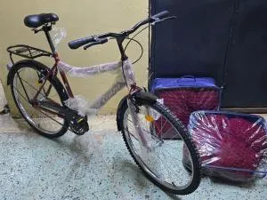Victory bike size 26