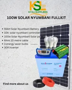 Solar Nyumbani 100W Solar Kit 🌞 | 55Ah Battery + 300W Inverter | kitalisuppliers