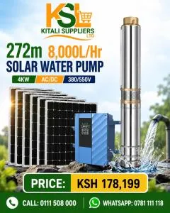 Premier 24V 250W Solar DC Submersible Borehole Pump – 65M Head, 1.2m³/h Flow