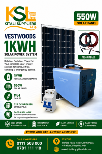 VESTWOODS 1kWh Portable Solar Power Station Kit with 550W Solar Panel