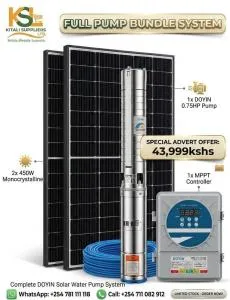 Complete DOYIN Solar Water Pump System Bundle (0.75HP Submersible Pump + 2x 450W Panels + MPPT Controller
