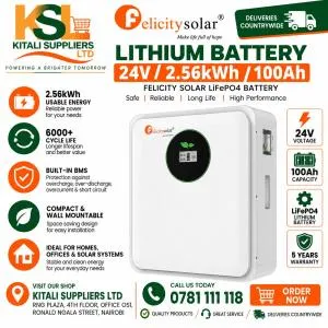 Felicity Solar 24V / 2.56kWh / 100Ah LiFePO4 Lithium Battery