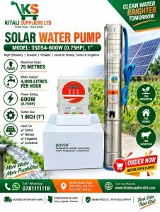 Doyin 3SDS4-600W (0.75HP) Submersible Water Pump – Solar & Borehole Pump