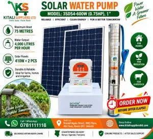 Kitali Suppliers Solar Water Pump System - 0.75HP (600W, Model 3SDS4)