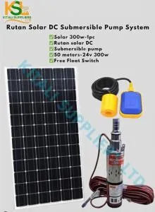 Rutan Solar DC Submersible Pump System with 300W Solar Panel & Float Switch (50M / 24V)
