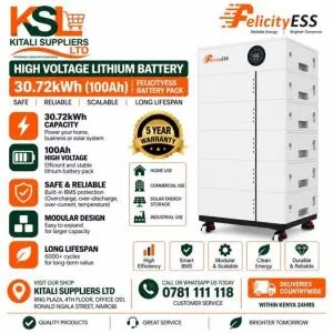 FelicityESS 30.72kWh High Voltage Lithium Battery (100Ah)