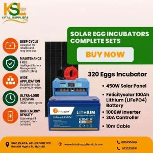 Kitali 320-Egg Solar Incubator Set with Felicity LiFePO4 Battery